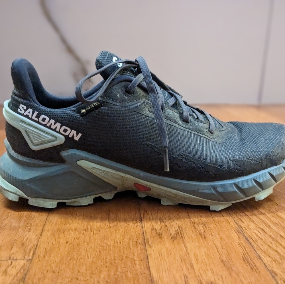 Salomon Alphacross 4 (size 11)